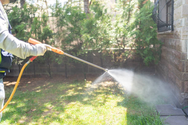 Best Ant Control Services  in Allouez, WI