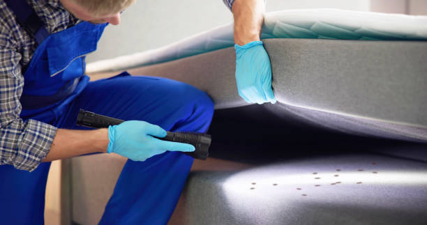 Best Cockroach Control Services  in Allouez, WI