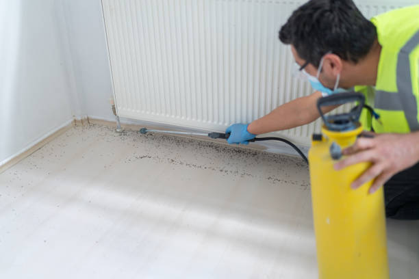 Best Wasp Removal Services  in Allouez, WI